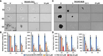 Flavokawain A Reduces Tumor-Initiating Properties and Stemness of Prostate Cancer